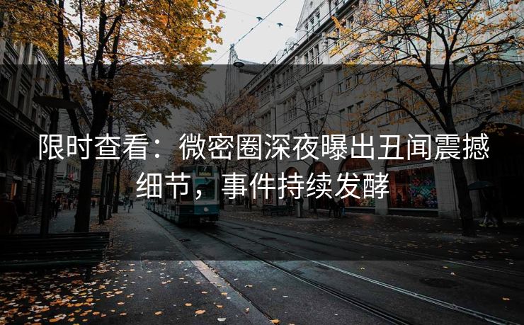 限时查看：微密圈深夜曝出丑闻震撼细节，事件持续发酵