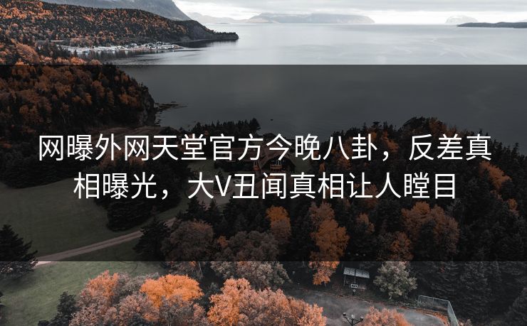 网曝外网天堂官方今晚八卦，反差真相曝光，大V丑闻真相让人瞠目