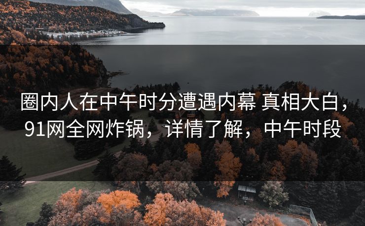 圈内人在中午时分遭遇内幕 真相大白，91网全网炸锅，详情了解，中午时段
