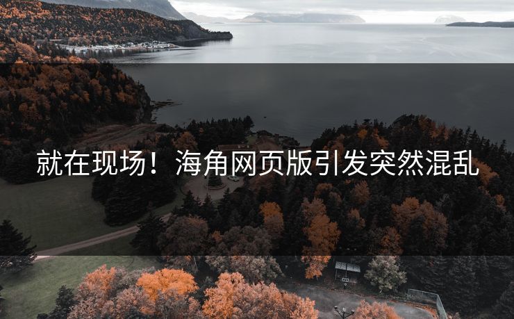 就在现场！海角网页版引发突然混乱