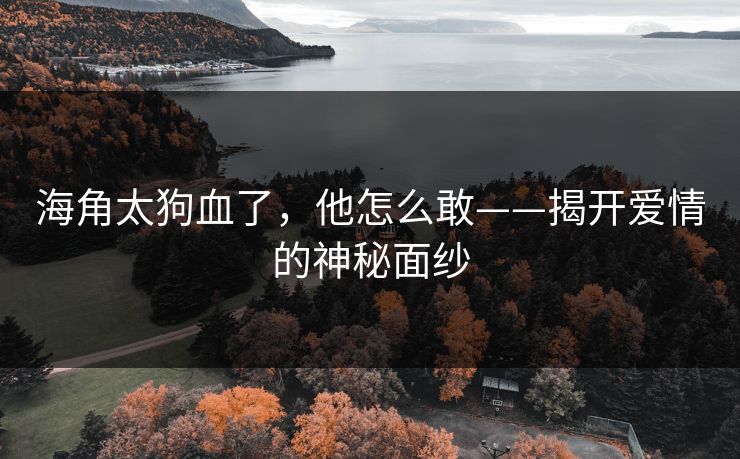 海角太狗血了，他怎么敢——揭开爱情的神秘面纱