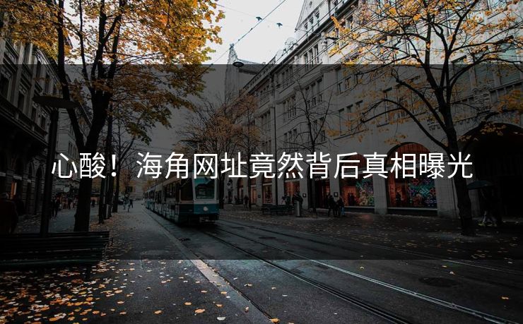 心酸！海角网址竟然背后真相曝光