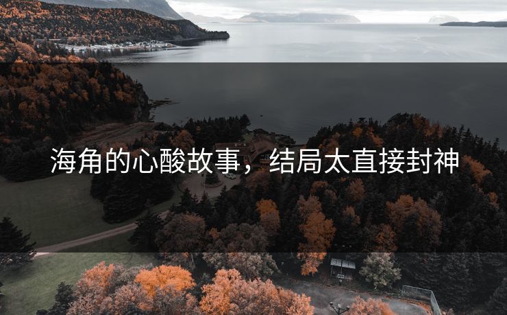 海角的心酸故事，结局太直接封神