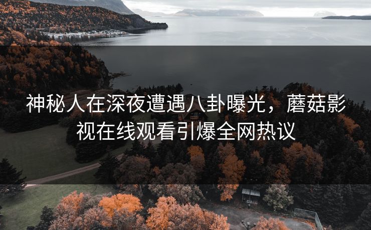 神秘人在深夜遭遇八卦曝光，蘑菇影视在线观看引爆全网热议
