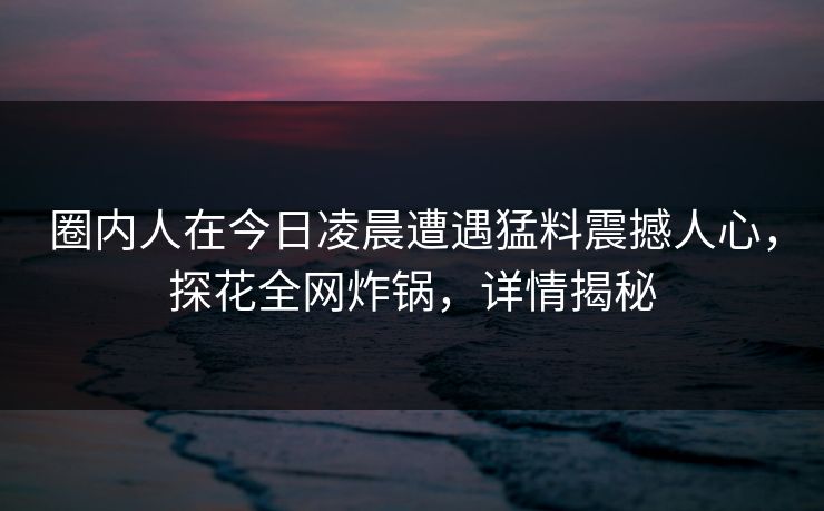 圈内人在今日凌晨遭遇猛料震撼人心，探花全网炸锅，详情揭秘
